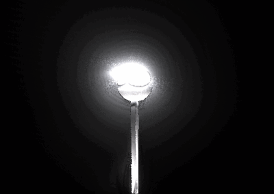 Luminary